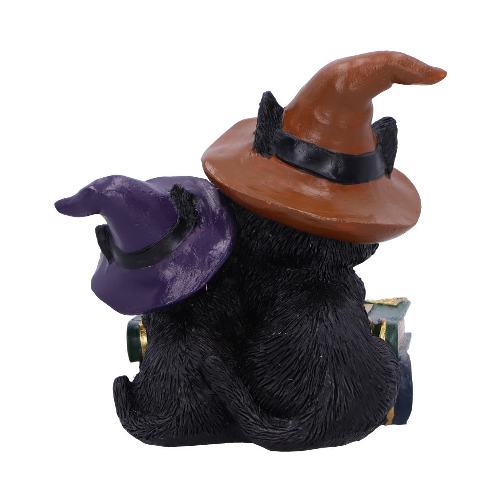 Duo Divination Witches Cat Figurine