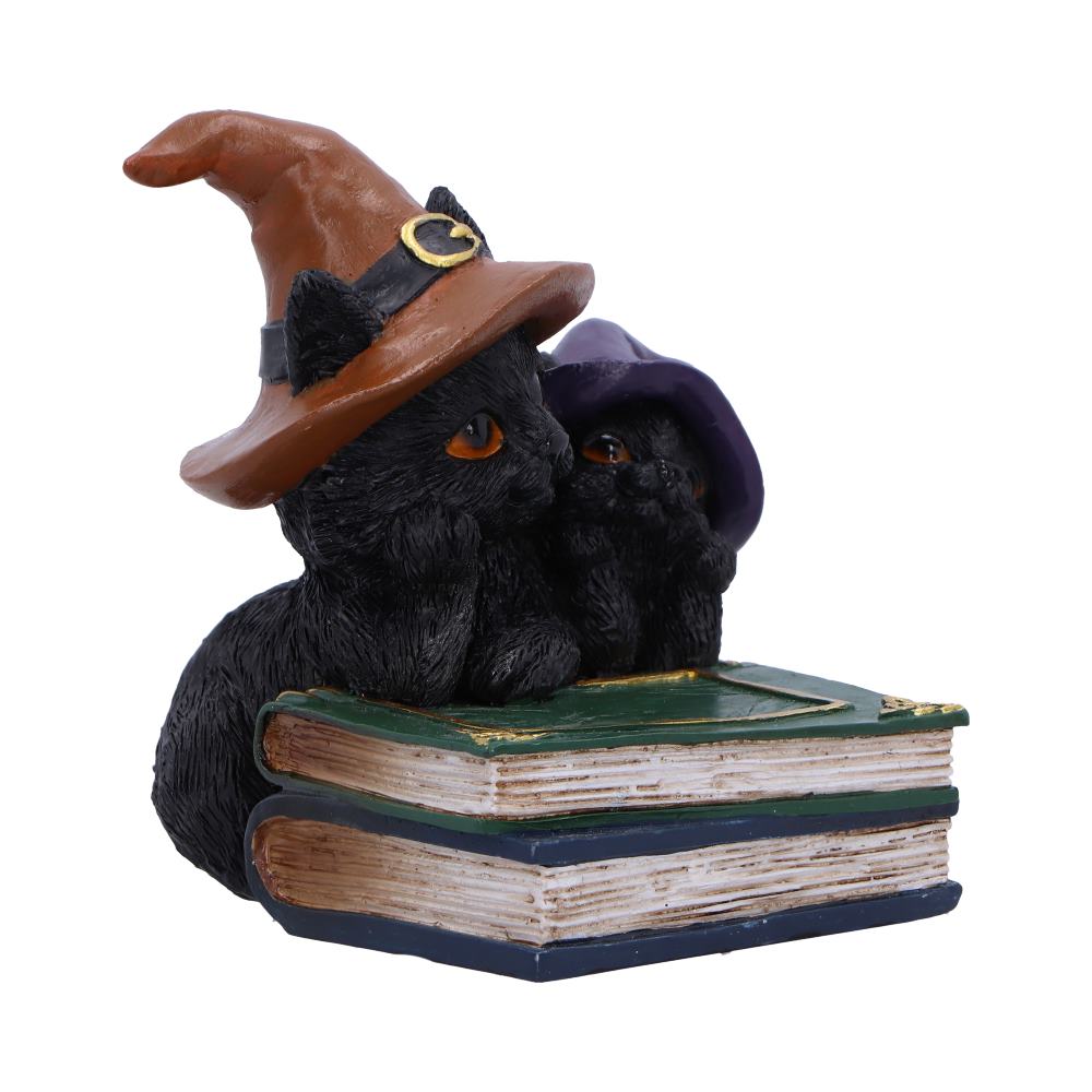 Duo Divination Witches Cat Figurine
