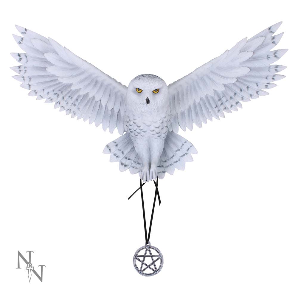 Anne Stokes Awaken your Magic Owl Pentagram Wall Plaque