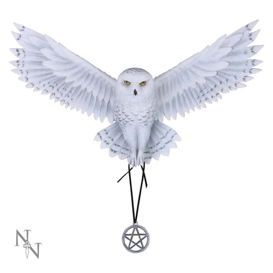 Anne Stokes Awaken your Magic Owl Pentagram Wall Plaque